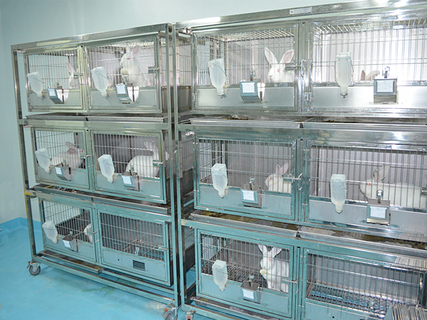 动物实验室废气处理方法