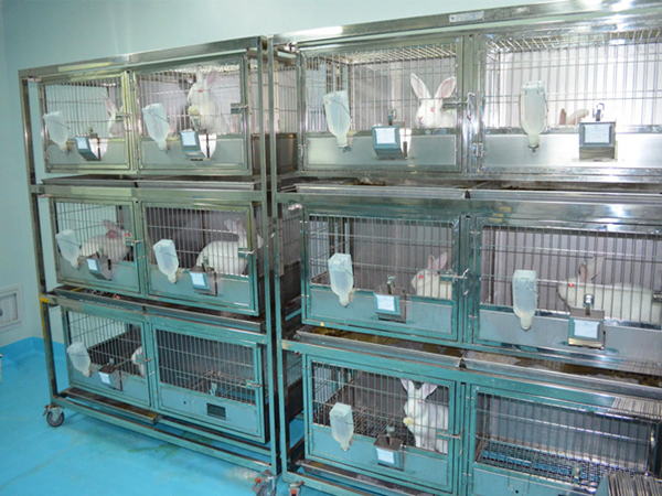 实验室动物房臭气处理方法
