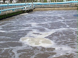 造纸污水废气处理方法