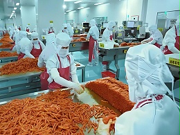 食品车间恶臭大，食品厂臭气处理设备该怎么挑选